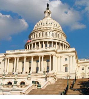 7th Congressional Race up to 15 Candidates