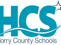 School Board Chairman Primary Nears