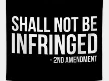Gun Ordinance Flop – Lesson in Local Culture